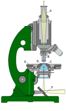 Imaxe de microscopio óptico