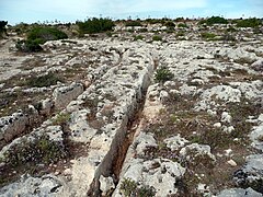 Kolesnice v Misrah Ghar il-Kbirju (južna Malta)