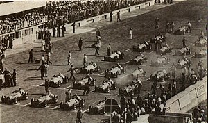 Monza 1950