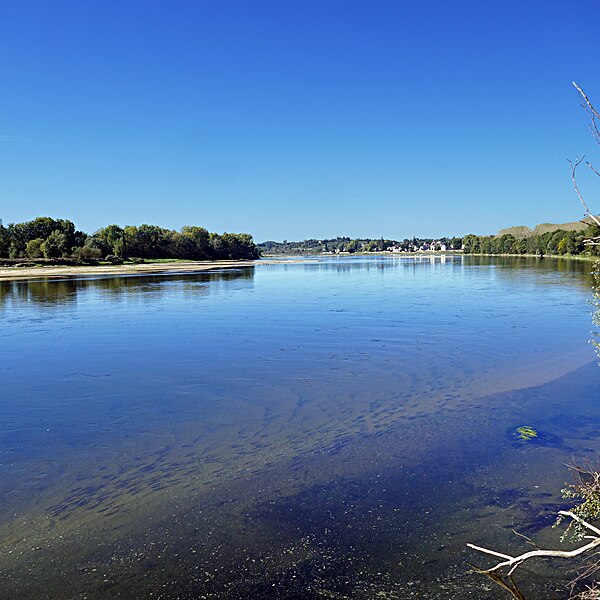 File:Mulets de Loire.jpg