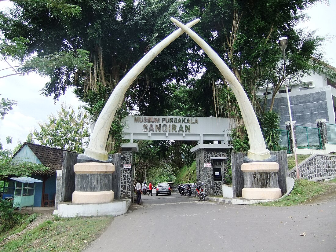 Museum Manusia Purba Sangiran