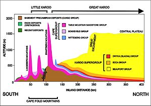 A diagrammatic 400 km north-south cross-section through the southern portion of the country at approximately 21deg 30' E (i.e. near Calitzdorp in the Little Karoo), showing the relationship between the Cape Fold Mountains (and their geological structure) and the geology of the Little and Great Karoo, as well as the position of the Great Escarpment. The colour code for the Karoo rocks is the same as those used in the above diagram. The heavy black line flanked by opposing arrows is the fault that runs for nearly 300 km along the southern edge of the Swartberg Mountains. The Swartberg range owes some of its great height to upliftment along this fault line. The subsurface structures are not to scale. NS cross section Southern Cape.jpg