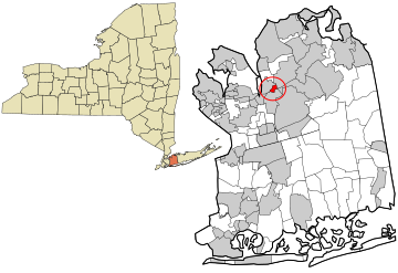 Fitxer:Nassau_County_New_York_incorporated_and_unincorporated_areas_Greenvale_highlighted.svg