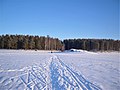 Вид на Качканарский пруд