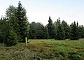 Čeština: Přírodní rezervace (jedna z jejích čtyřech částí) Prameniště nedaleko Železné Rudy, okres Klatovy English: Nature reserve Prameniště near Železná Ruda in Klatovy District