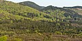 Deutsch: Frühling im Naturpark Thüringer Wald - Blick vom Reinhardsberg in Friedrichroda.