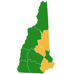 New Hampshire Democratic presidential primary election results by county, 2020.svg
