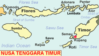 <span class="mw-page-title-main">Dana Island (Sabu Raijua)</span> Island in Sabu Raijua Regency, Indonesia