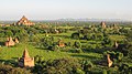 Bagan plains at sunset