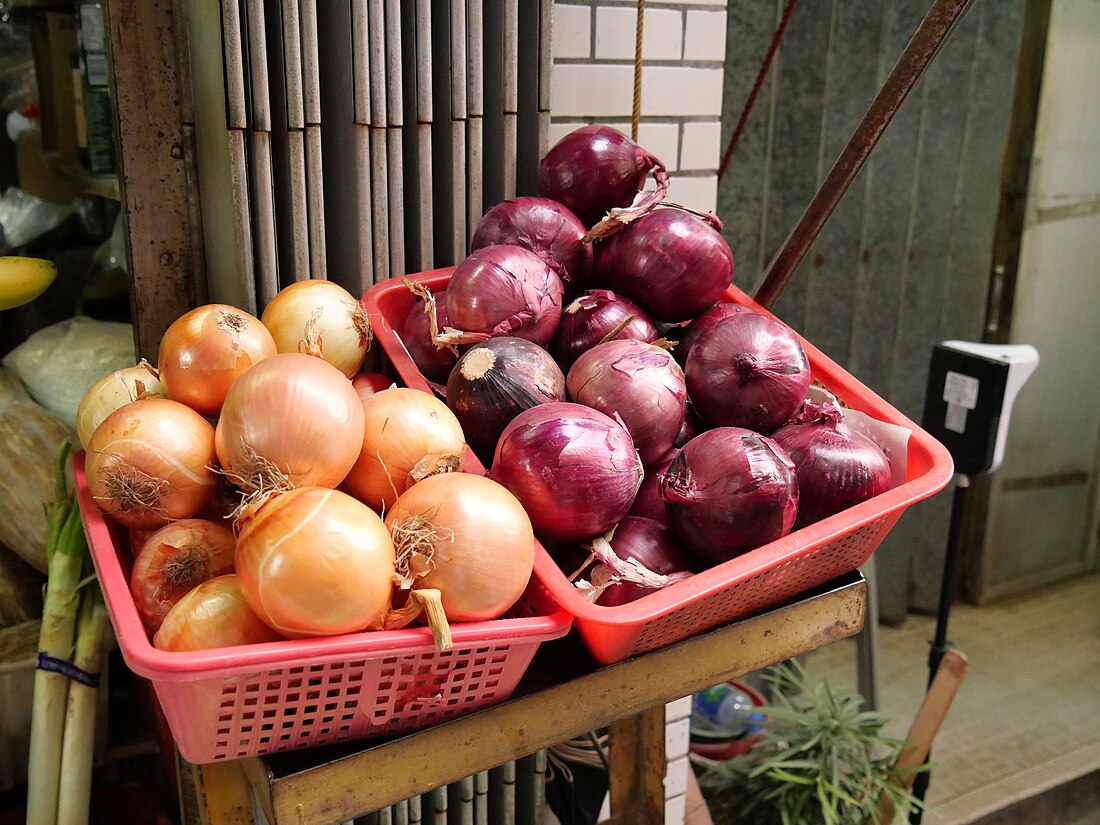 File:Onions in Peng Chau.jpg