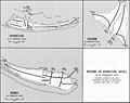 Operation Catchpole - Seizure of Eniwetok