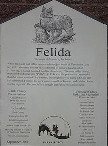 Origin of the name Felida