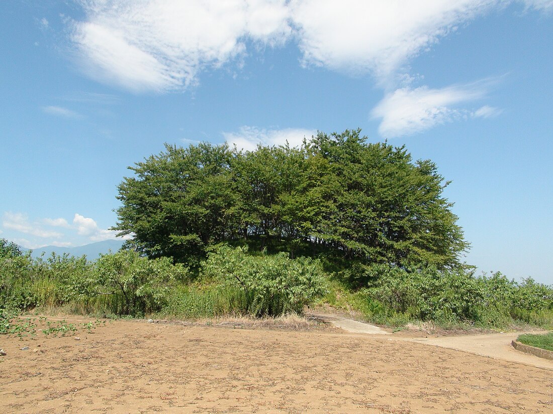 中央市 (日本)