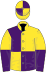 Yellow and purple (quartered), halved sleeves, quartered cap