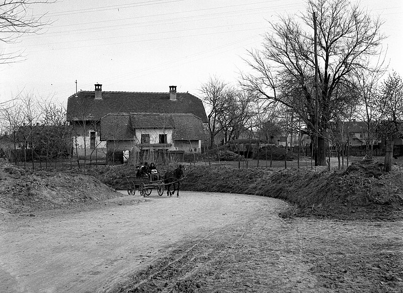 File:Pélmonostor 1941, lovas kocsi, Bartók Béla utca. Fortepan 71486.jpg