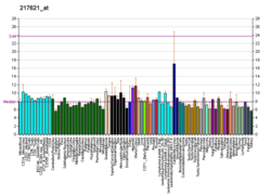 PBB GE SLC6A2 217621 at fs.png