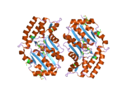 2g07: X-ray structure of mouse pyrimidine 5'-nucleotidase type 1, phospho-enzyme intermediate analog with Beryllium fluoride