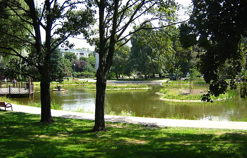 File:Park Malickiego staw czyszczenie.jpg