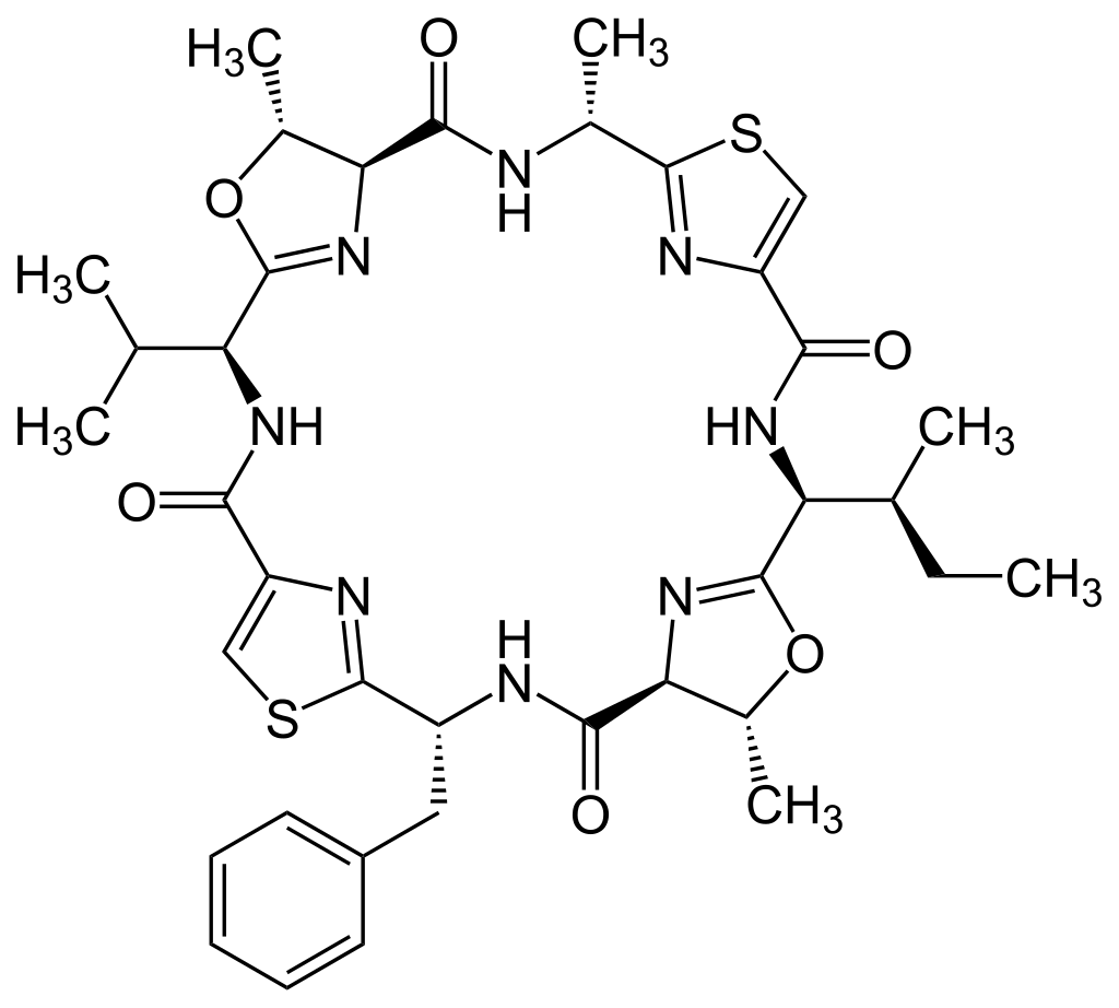 Prochloron. CITESEERX.