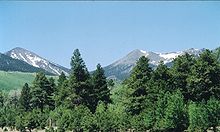 Inner Basin of San Francisco Peaks in the summer. Agassiz Peak at the center, and Fremont Peak at left. Peaks-Inner Basin.JPG