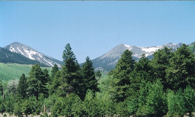 Inner Basin of San Francisco Peaks in the summer. Agassiz Peak at the center, and Fremont Peak at left.