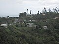 Thumbnail for Perchas, Morovis, Puerto Rico