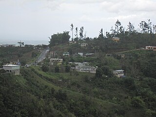 <span class="mw-page-title-main">Perchas, Morovis, Puerto Rico</span> Barrio of Puerto Rico