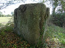 Mégalithe de La Garnache (Vendée) dit Pierre du Diable.