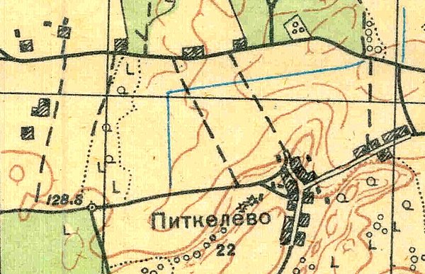 План деревни Питкелево. 1931 год