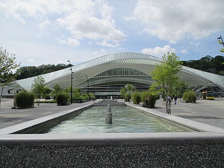 La gare des Guillemins.