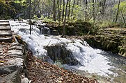 Deutsch: Kroatien, Nationalpark Plitvicer Seen English: Croatia, Plitvice Lakes National Park