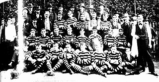 <span class="mw-page-title-main">1901 VFA season</span>