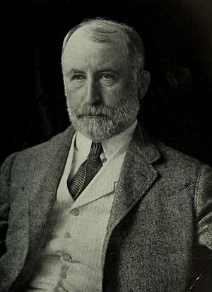 Portrait of William Jay Gaynor.jpg