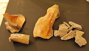 Pottery fragments from the Great Drain at Paisley Abbey.jpg