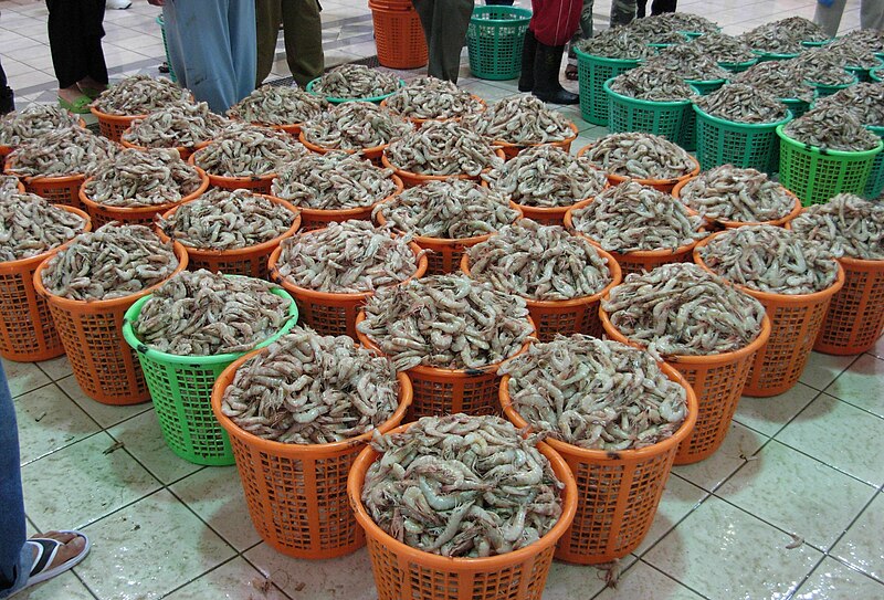 File:Prawns readyfor auction.JPG