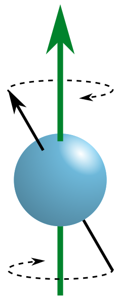 File:Precession in magnetic field.svg