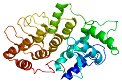 پروتئین DDEF2 PDB 1dcq.png