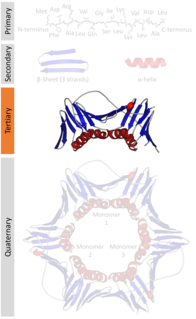 <span class="mw-page-title-main">Protein tertiary structure</span> Three dimensional shape of a protein