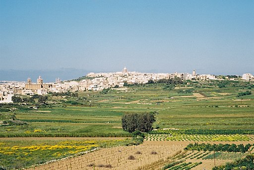 Qala fields (139836969)