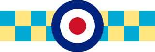 <span class="mw-page-title-main">No. 245 Squadron RAF</span> Military unit