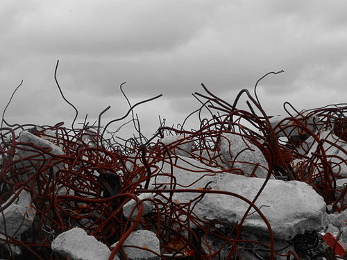 Rebar (Selective Color)