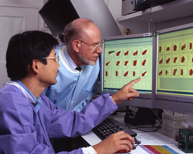 File:Researchers review cancer data.jpg