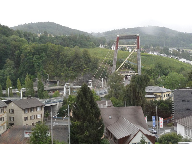 File:Rheinbrücke N4 in Schaffhausen (2012).JPG