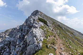 Begunjščica