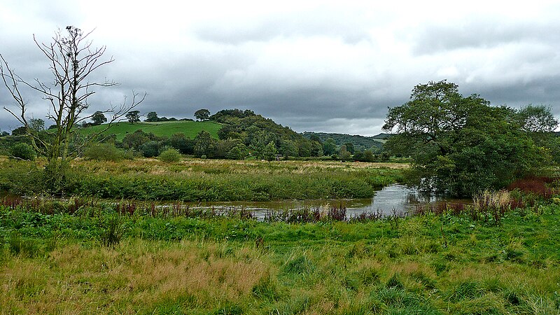 File:River Churnet south-west of Cheddleton in Staffordshire - geograph.org.uk - 6098725.jpg