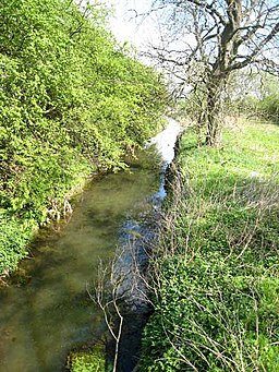 River Skerne - geograph.org.uk - 422464