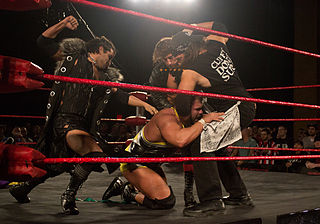 <span class="mw-page-title-main">S.C.U.M. (professional wrestling)</span> Professional wrestling stable