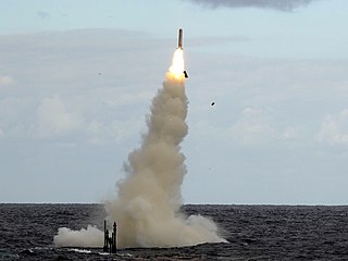 <span class="mw-page-title-main">Submarine-launched cruise missile</span> Seaborne weapon