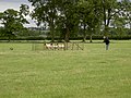 Thumbnail for Ryedale Show
