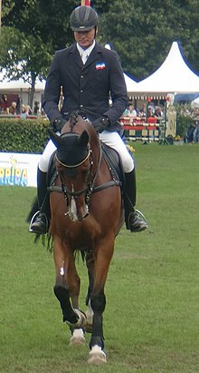 Sören von Rönne op zijn paard, van voren